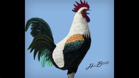 Denizli Rooster , Denizli Horozu speed painting - YouTube