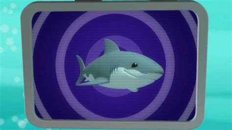 Great White Shark Creature Report - CBeebies - BBC