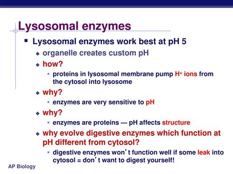 Tour of the Cell. - ppt download