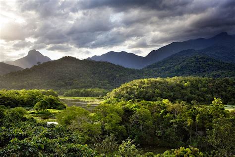 Minas Gerais travel | Brazil, South America - Lonely Planet