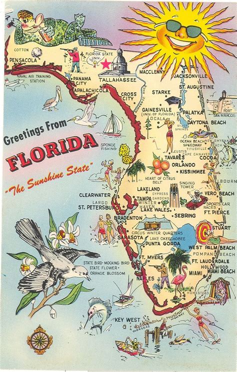 Vintage Florida Postcard Greetings Sunshine State Map | Etsy | Map of florida, Vintage florida ...