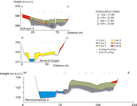 Typical floodplain cross-sections for the main floodplain types ...