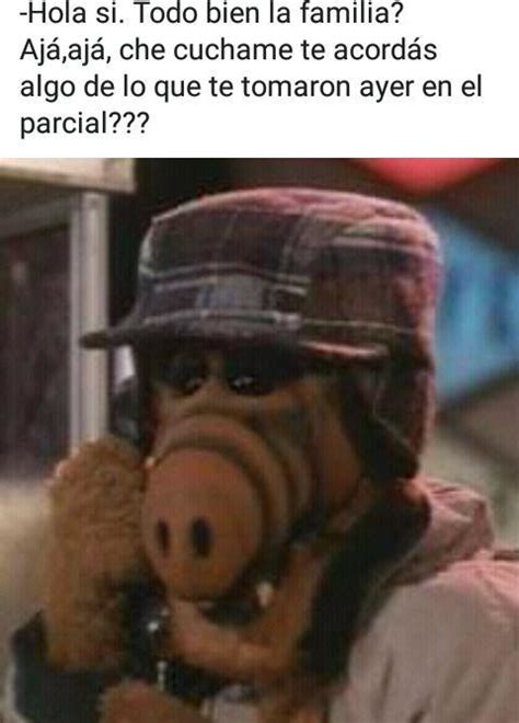 Top memes de Alf en español :) Memedroid