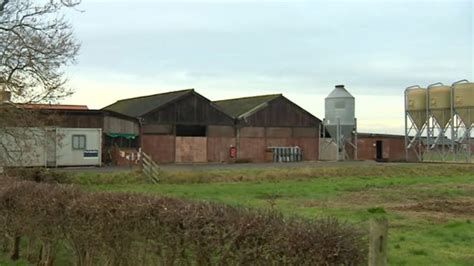 Bird flu found in 6,000 turkey flock at East Lindsey farm close to ...