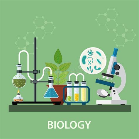 Espaço De Trabalho Do Laboratório De Biologia Ilustração do Vetor ...