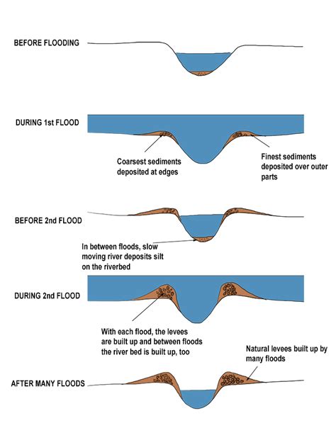 Natural Levee Diagram