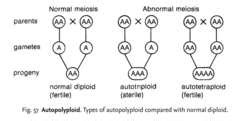 Autopolyploid | definition of autopolyploid by Medical dictionary