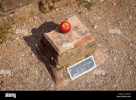 Chester Roman Amphitheatre Stock Photo - Alamy