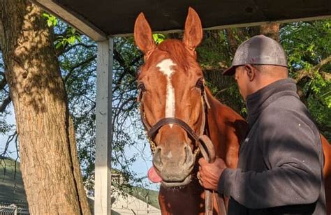 Trainer Reed steps into Triple Crown whirlwind with Rich Strike