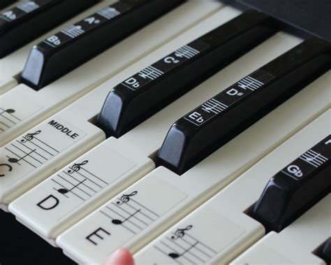 Keyboard or Piano Stickers up to 61 KEY keyboard for the black and white keys | Music keyboard ...