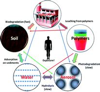 Phthalate pollution: environmental fate and cumulative human exposure index using the ...