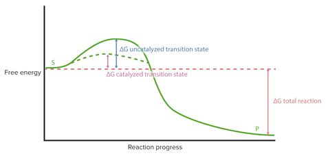 Enzyme Kinetics | Concise Medical Knowledge