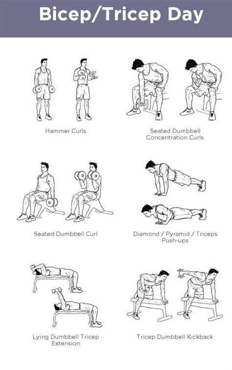 Triceps Workout Chart For Men