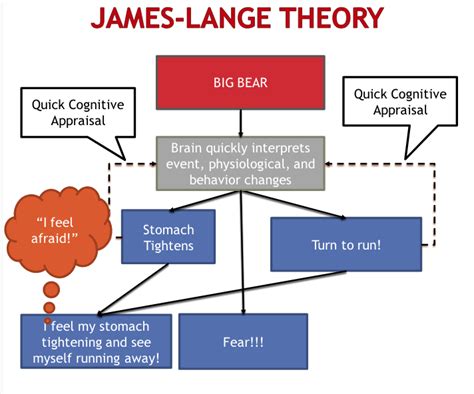 James-Lange Theory – Psychology of Human Emotion.