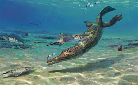 Jurassic Sea Crocodile Fossil Found in United Kingdom | Sci.News