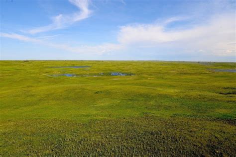 The enormous threat to America's last grasslands — Health & Wellness ...