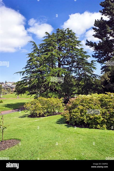 Royal Botanic Garden Edinburgh Stock Photo - Alamy