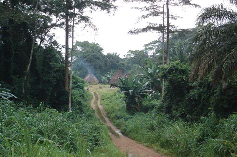 Village in Kono District - Sierra Leone: Inside the War