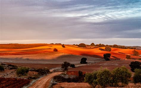 La Mancha: the epic region of Spain with vineyards, castles and mountains – but no tourists