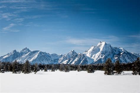 Yellowstone National Park Is Even More Magical In Winter Than Summer