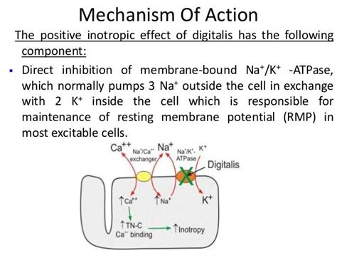 Tragen Mühle Abhängigkeit dioxin toxicity mechanism Pack Wild Getriebe