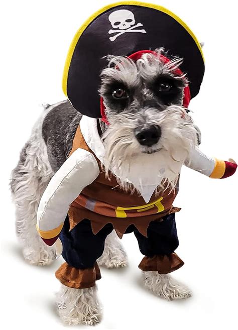 Funny Dog Costume Pirates of The Caribbean Style Cat Costumes Halloween ...