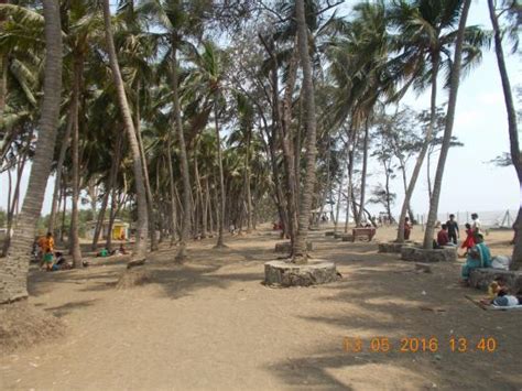 Arnala Beach (Virar) - All You Need to Know BEFORE You Go - Updated ...