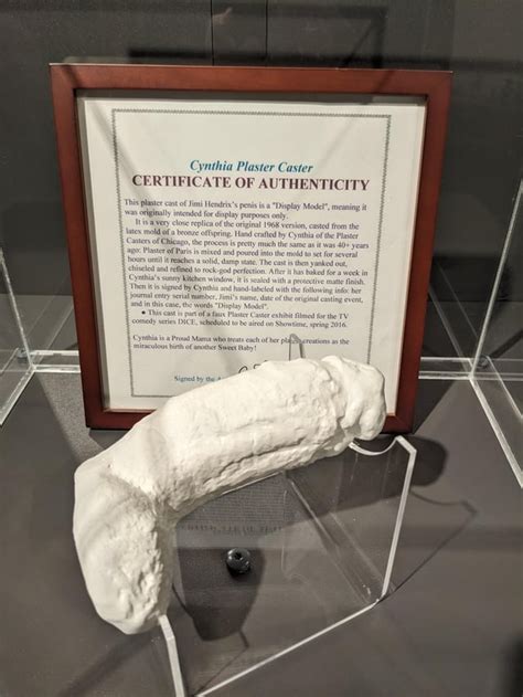 A plaster cast of Jimi Hendrix's penis is on display at the Icelandic ...