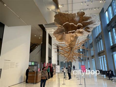 10 BEST Things to See at Seattle Art Museum - CityBOP