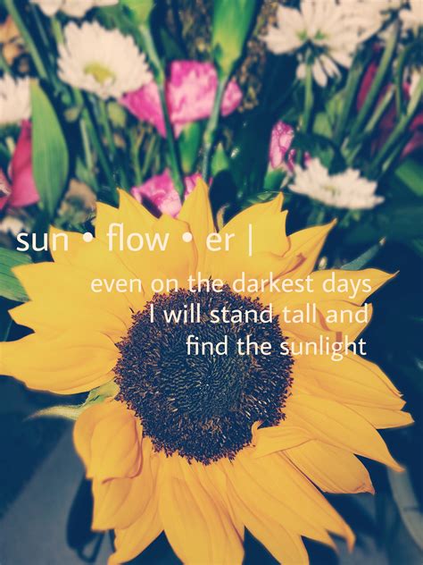 Inspirational Sunflower Quotes - ShortQuotes.cc