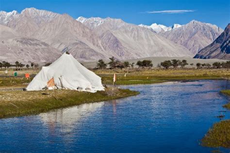 Camping in Nubra Valley | Ladakh - What to Expect | Timings | Tips ...