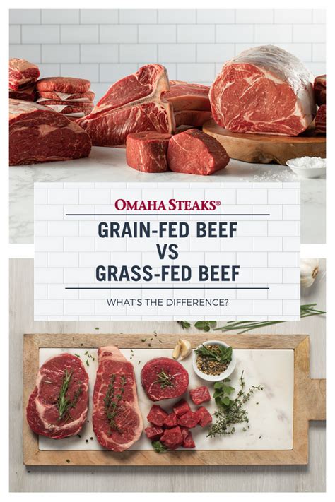 What's the Difference Between Grass-fed & Grain-fed Beef?