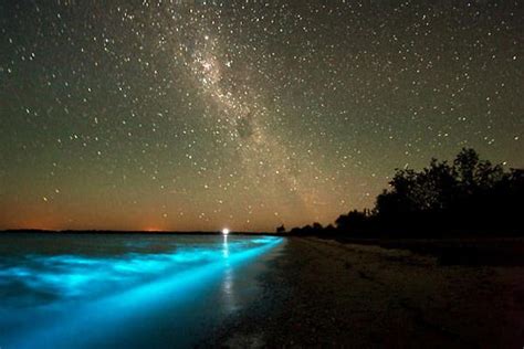 Sea of Stars - Vaadhoo Island, Maldives : r/cosmicwonders