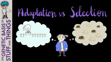 Adaptation vs selection: What YOU need to know about exaptation - YouTube