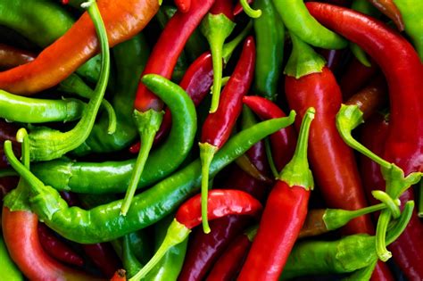 What gardeners need to know about growing chili peppers – Press Enterprise