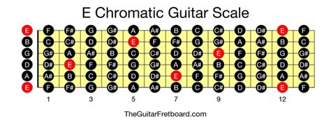 E Chromatic Guitar Scale - The Guitar Fretboard