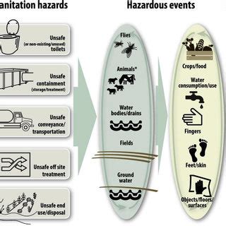 The health impacts from unsafe sanitation through various transmission ...