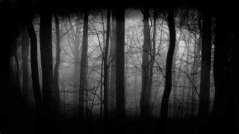 🔥 Free download Free HD Dark Woods Wallpapers Download [1920x1080] for your Desktop, Mobile ...