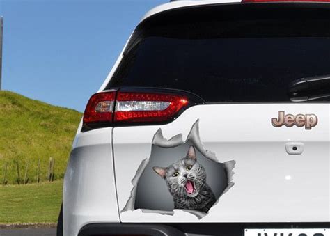 Cat Car Sticker. Cat Decal. Car Bumper Sticker. Car Window Decal. Car ...