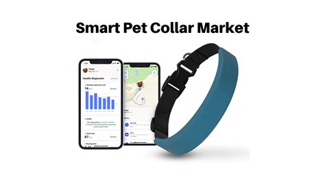 Smart Pet Collar Market Growing at a CAGR of 10%