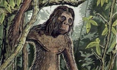 Orang Pendek | Daily Planet - Sasquatch Chronicles