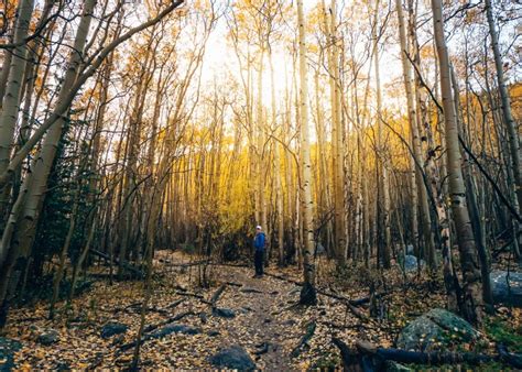 Embark on These 12 Breathtaking Colorado Fall Hikes for 2024