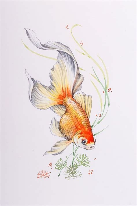 Pin by Silvia Fornaciali on cavalos e animais p pintar | Fish drawings ...