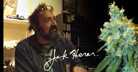 Jack Herer Interview: Rare Footage From the 90s - Sensi Seeds