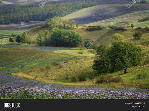 South Moravian Fields Image & Photo (Free Trial) | Bigstock