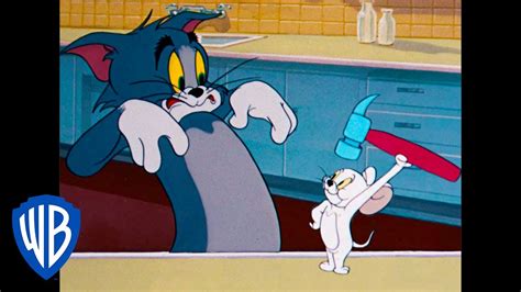 Tom & Jerry | The Dangerous White Mouse | Classic Cartoon | WB Kids