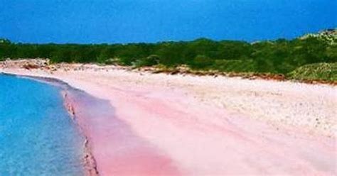 Pink Beach, Sardinia, italy: | Shah Nasir Travel