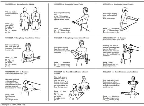 Upper Extremity Exercises with Theraband