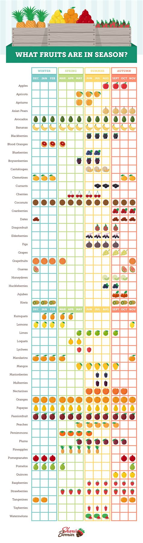 Seasonal Fruit Chart