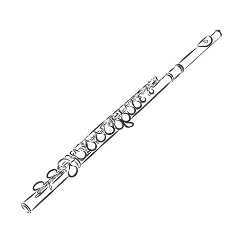 flute vector sketch 11092980 Vector Art at Vecteezy